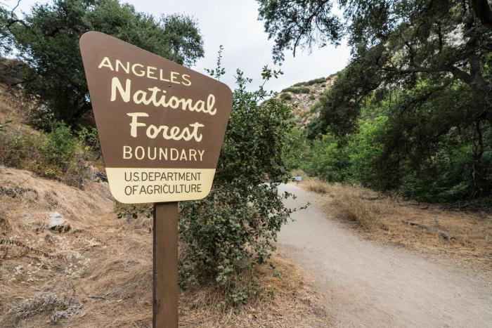 Angeles national forest